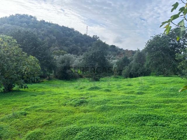 Terreno venda em Loulé, Faro