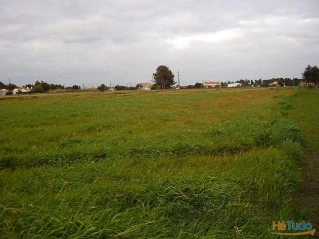 Terreno venda em Salvaterra De Magos, Santarém