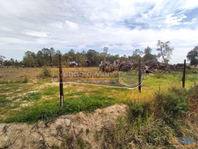 Terreno venda em Salvaterra De Magos, Santarém