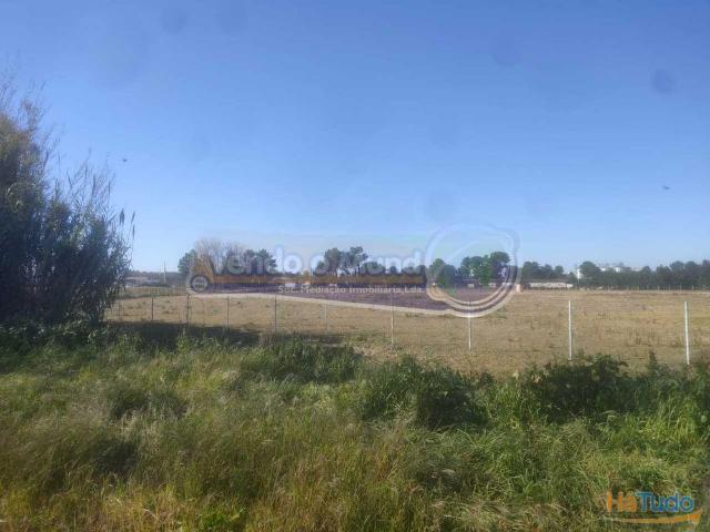 Terreno venda em Salvaterra De Magos, Santarém