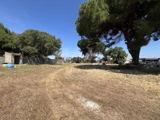 Terreno venda em Porto Alto, Benavente