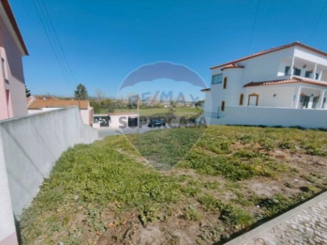Terreno venda em Benavente