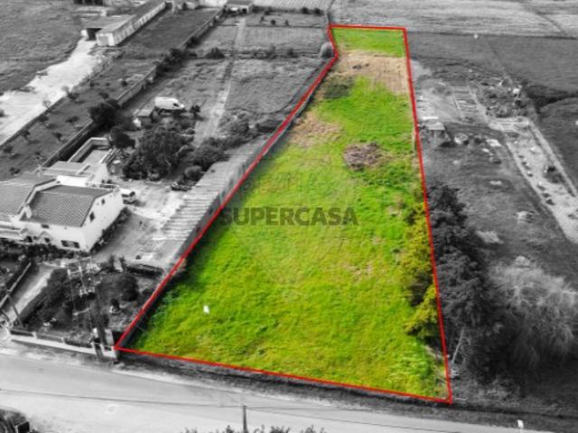Terreno venda em Benavente