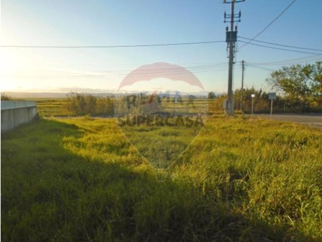 Terreno venda em Benavente