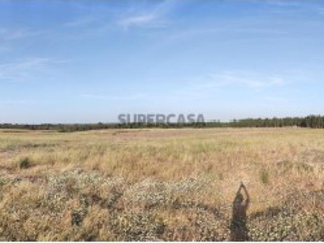 Terreno venda em Benavente