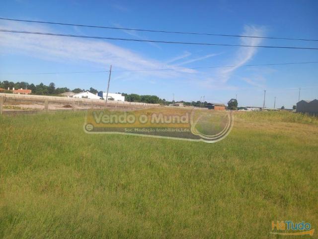 Terreno venda em Benavente, Santarém