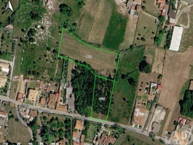 Terreno venda em Fogueira, Anadia