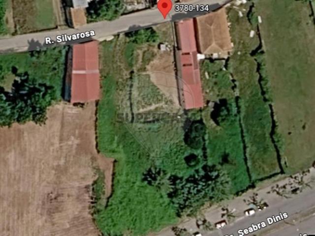 Terreno venda em Casainho, Anadia