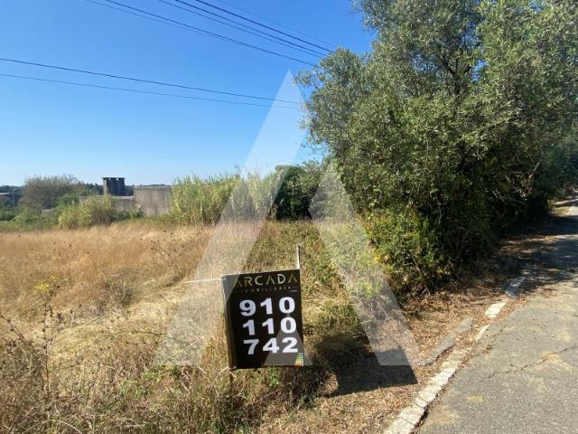 Terreno venda em Anadia, Aveiro