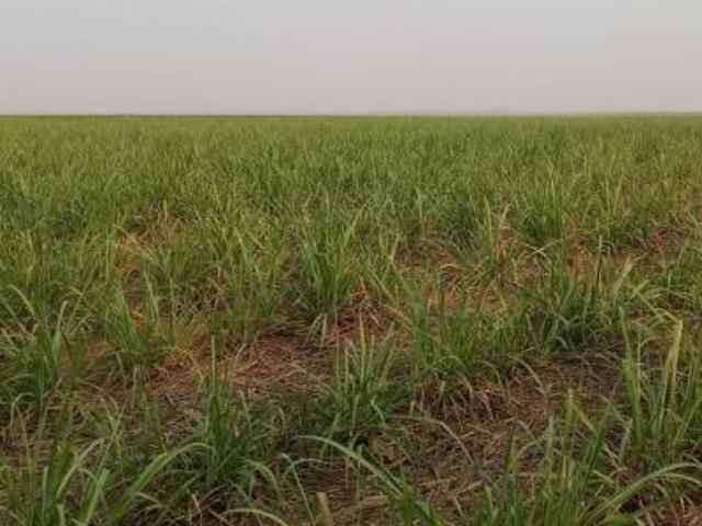 Terreno venda em Região Imediata de Campinas, Região Metropolitana de Campinas