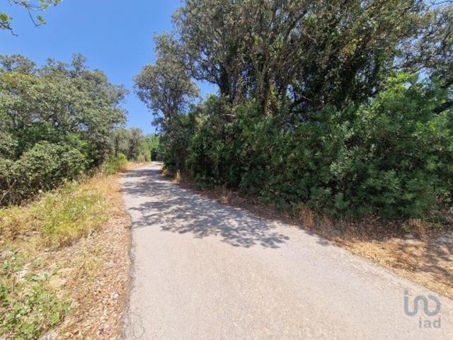 Terreno venda em Chelote, Faro