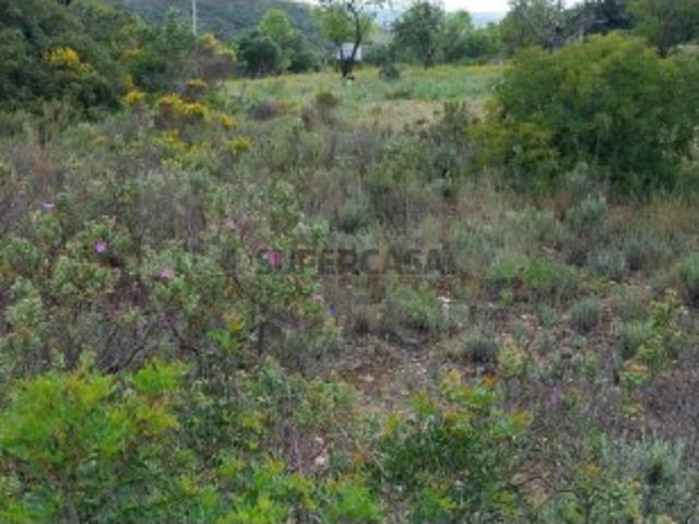 Terreno venda em Agostos, Faro