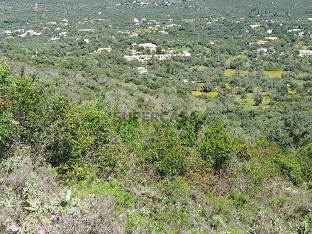 Terreno venda em Faro