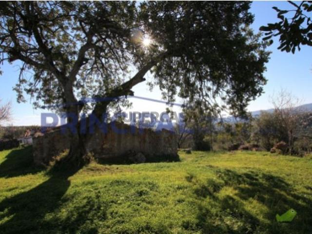 Terreno venda em Santa Catarina da Fonte do Bispo, Tavira