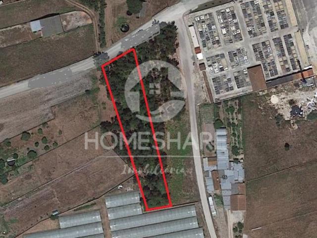 Terreno venda em Fonte da Costa, Ponte De Vagos