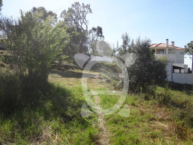 Terreno venda em Coimbrã, Coimbra