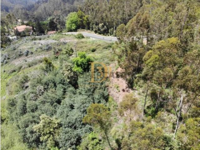 Terreno venda em Santa Cruz, Ilha Da Madeira