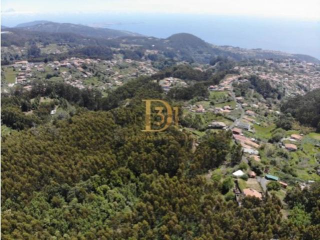 Terreno venda em Santa Cruz, Ilha Da Madeira