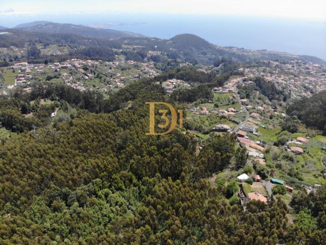 Terreno venda em Achada da Camacha, Santa Cruz