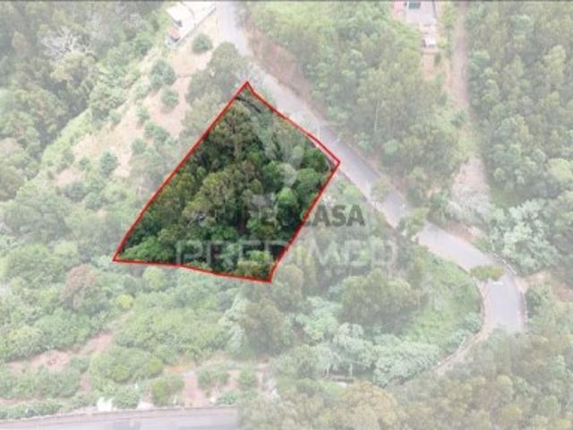 Terreno venda em Santa Cruz