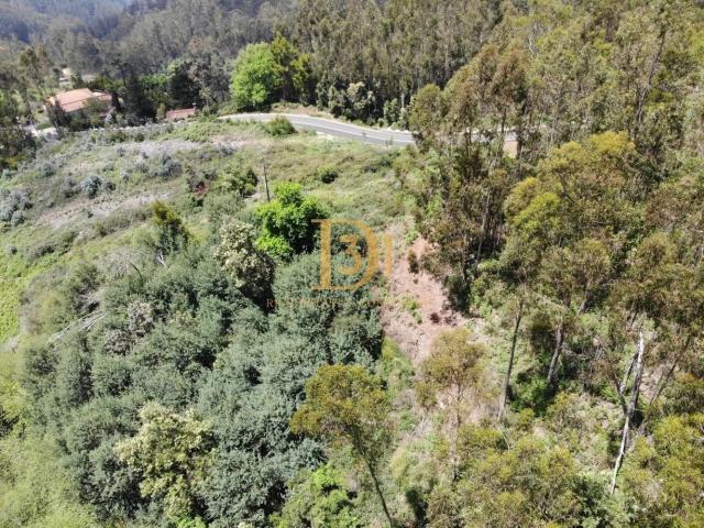 Terreno venda em Santa Cruz