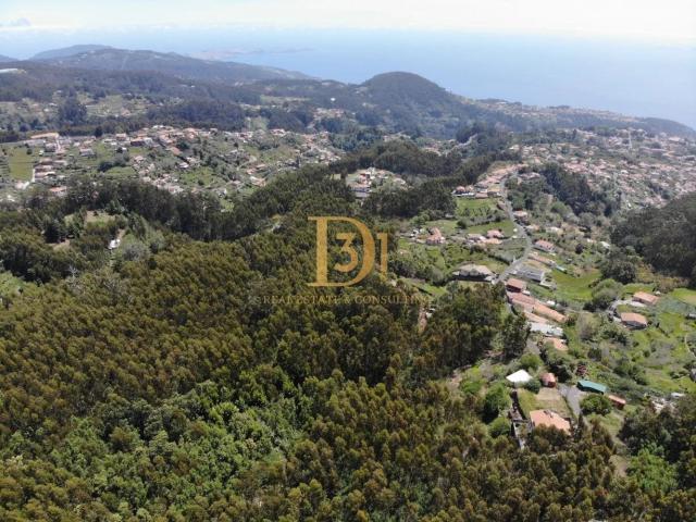 Terreno venda em Santa Cruz