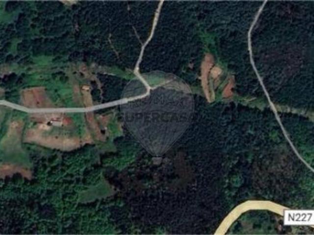 Terreno venda em São Pedro Do Sul, Viseu