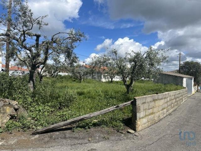 Terreno venda em Almodôvar, Beja