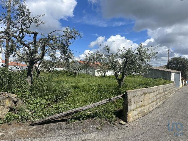 Terreno venda em Almodôvar, Beja