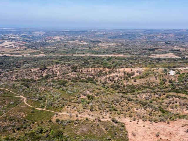 Terreno venda em Santiago Do Cacém Terreno venda em Santiago Do Cacém