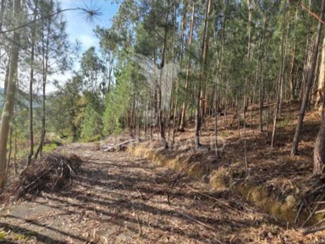 Terreno venda em Caxieira, Leiria