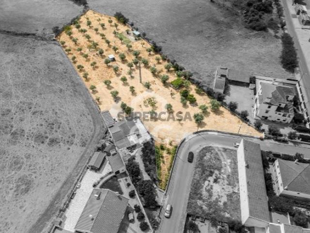 Terreno venda em Elvas, Portalegre