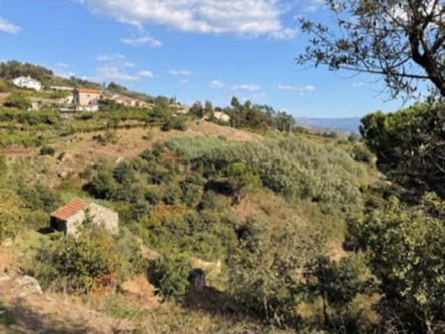 Terreno venda em Baião, Porto