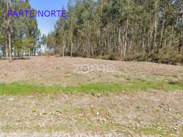 Terreno venda em Santo Tirso, Porto