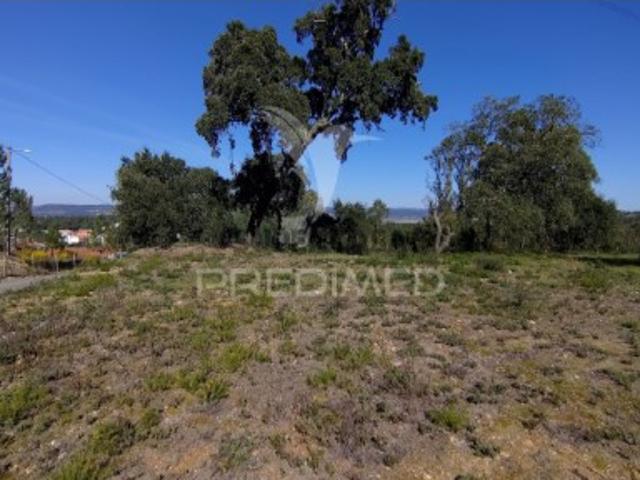 Terreno venda em Vale de Mestre, Constância