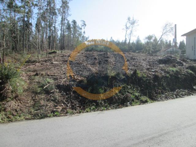 Terreno venda em Santa Maria Da Feira, Aveiro