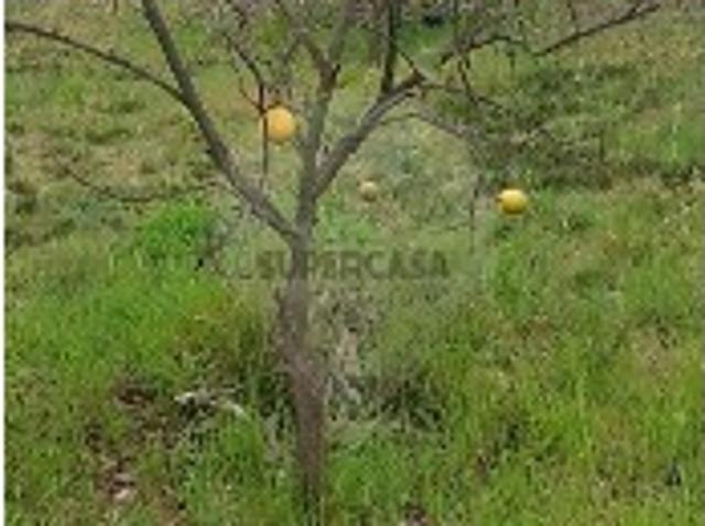 Terreno venda em Santa Maria Da Feira, Aveiro