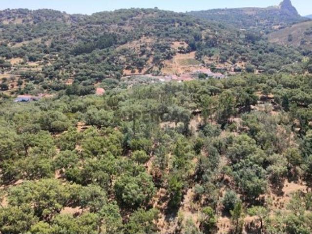 Terreno venda em Marvão, Santa Maria De Marvão