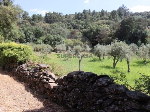Terreno venda em Marvão, Santa Maria De Marvão