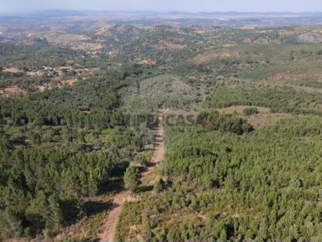 Terreno venda em Marvão, Santa Maria De Marvão