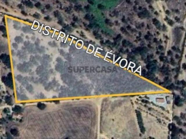 Terreno venda em Alcácer Do Sal, Setúbal