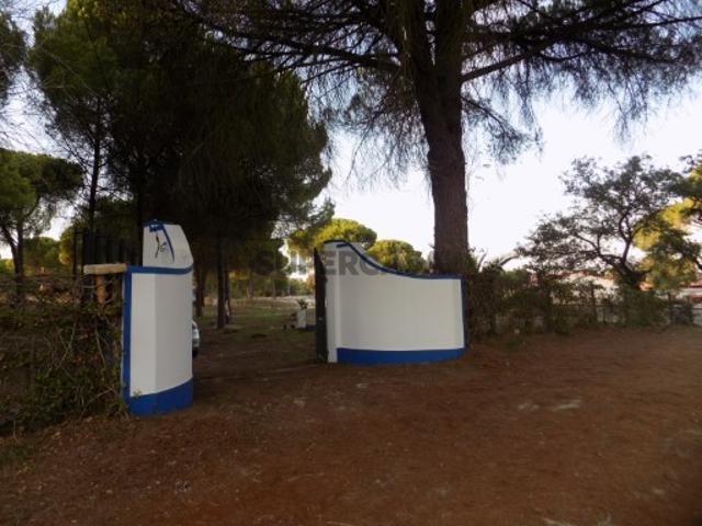 Terreno venda em Alcácer Do Sal, Montevil