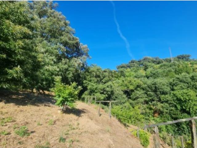 Terreno venda em Baião, Porto