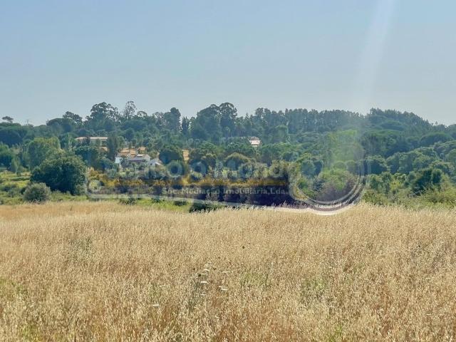 Terreno venda em Santarém