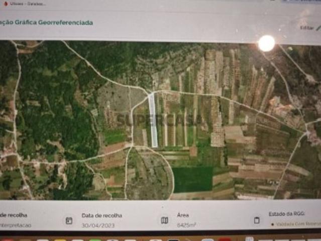 Terreno venda em Ansião, Leiria