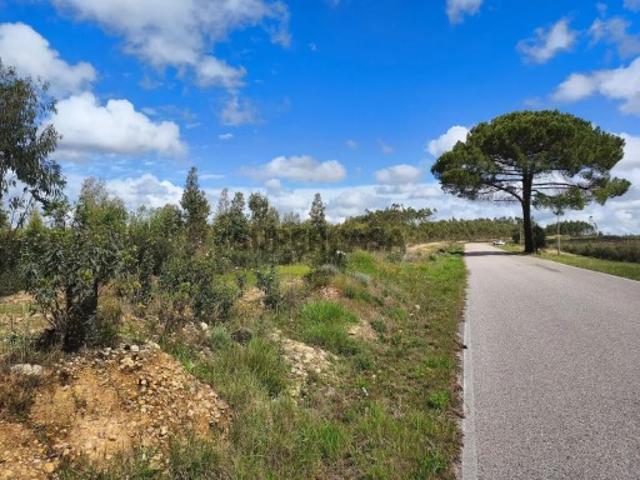 Terreno venda em Abrantes, Santarém