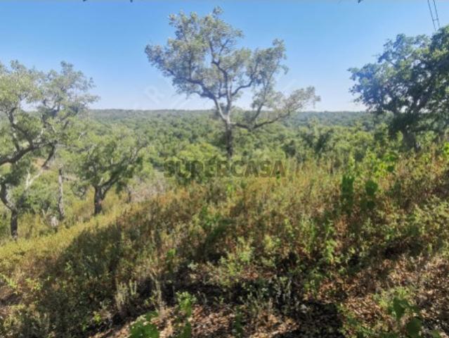 Terreno venda em Santiago Do Cacém, Setúbal