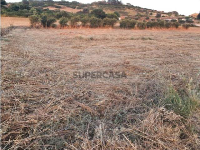 Terreno venda em Arruda Dos Vinhos, Adoseiros Terreno venda em Arruda Dos Vinhos, Adoseiros