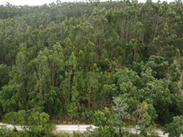 Terreno venda em Pombal, São Simão De Litém