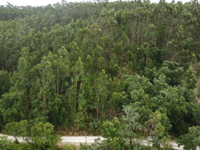 Terreno venda em Pombal, Leiria